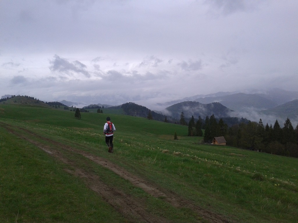 zdja01